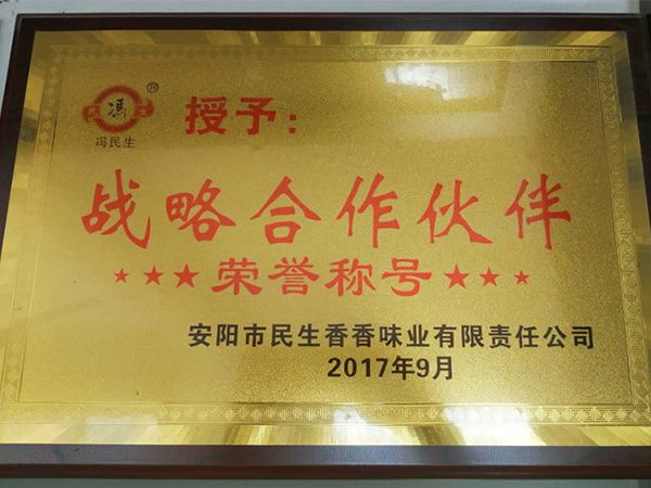 2017年戰(zhàn)略合作伙伴